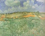 Plain near Auvers (nn04), Vincent Van Gogh